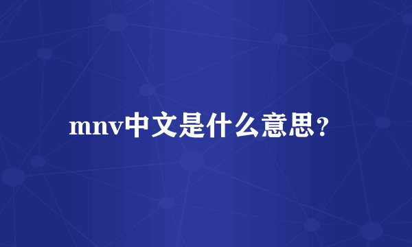 mnv中文是什么意思？