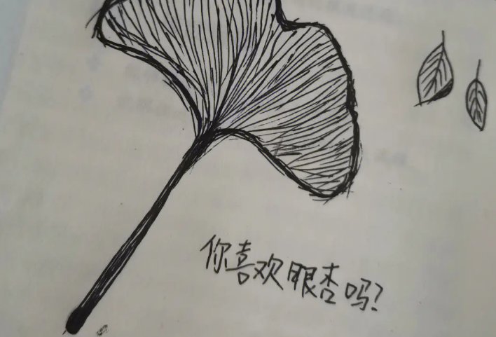 你喜欢银杏吗