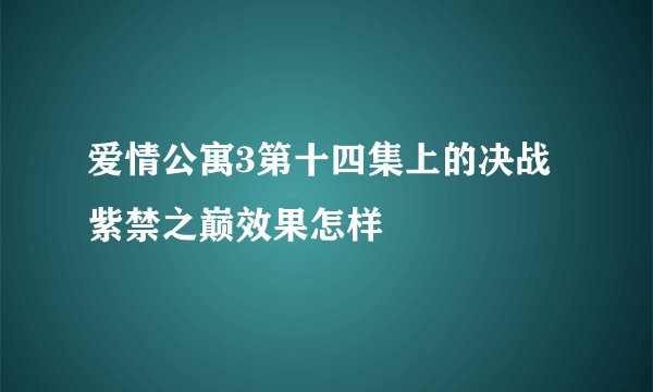 爱情公寓3第十四集上的决战紫禁之巅效果怎样