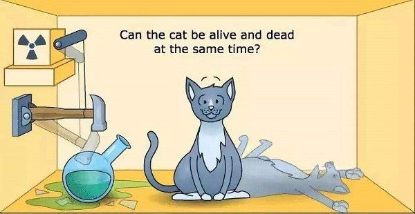 薛定谔定律是什么?