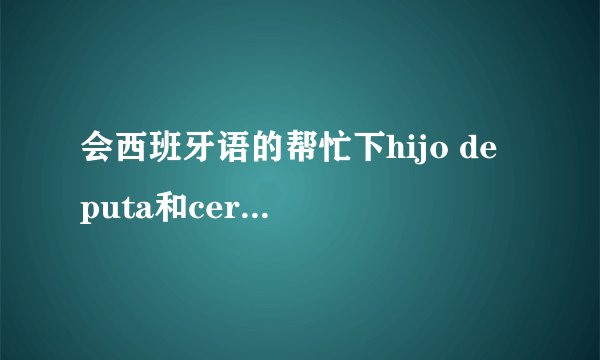 会西班牙语的帮忙下hijo de puta和cerdo是什么意思 啊    在线等 谢谢