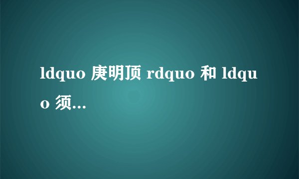 ldquo 庚明顶 rdquo 和 ldquo 须天晴 rdquo 是什么意思?