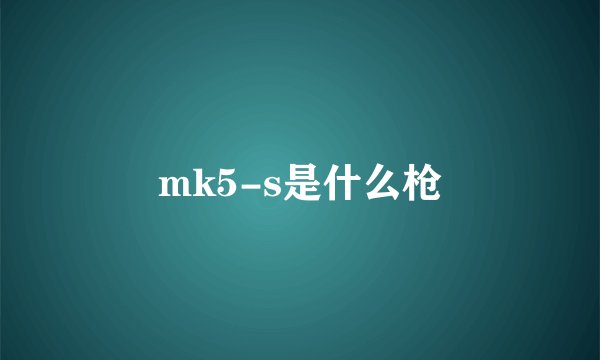 mk5-s是什么枪