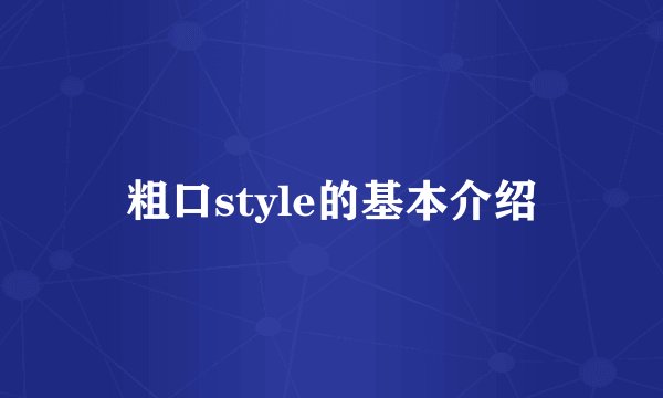 粗口style的基本介绍