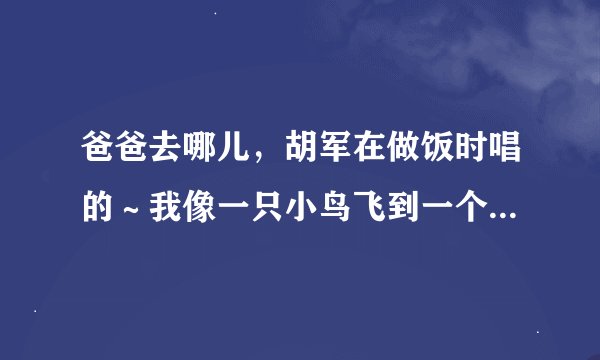 爸爸去哪儿，胡军在做饭时唱的～我像一只小鸟飞到一个陌生的地方，是什么歌