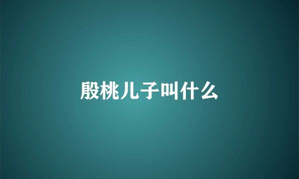 殷桃儿子叫什么