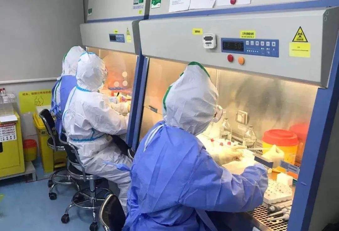 杭州新增5例本土无症状,这些确诊者之间有何联系?