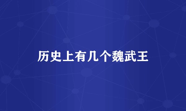 历史上有几个魏武王