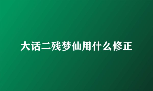 大话二残梦仙用什么修正