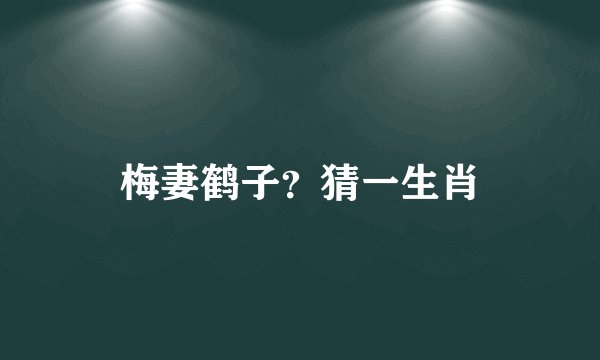 梅妻鹤子？猜一生肖