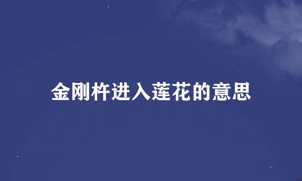 金刚杵进入莲花的意思