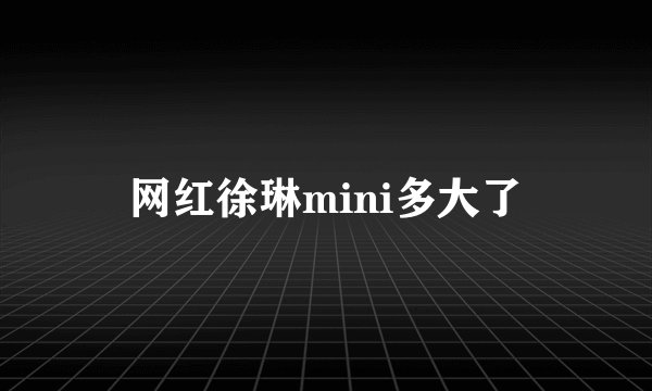网红徐琳mini多大了