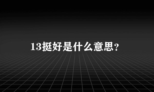 13挺好是什么意思？