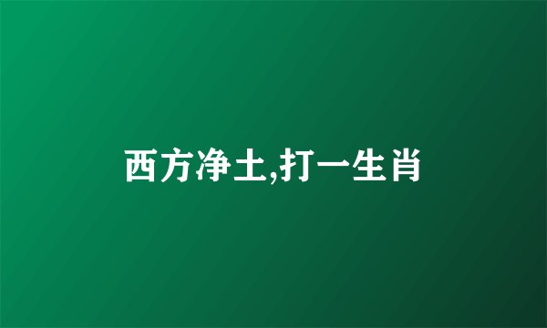 西方净土,打一生肖