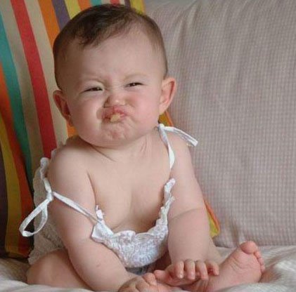 BB也疯狂的介绍