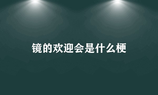镜的欢迎会是什么梗