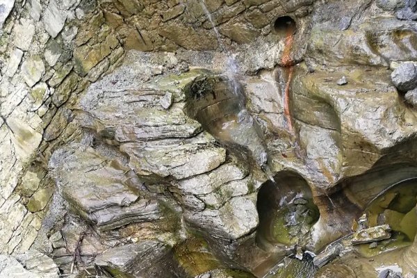 形容有毅力的成语