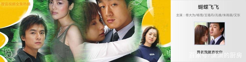 蝴蝶飞飞大结局介绍