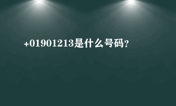 +01901213是什么号码？