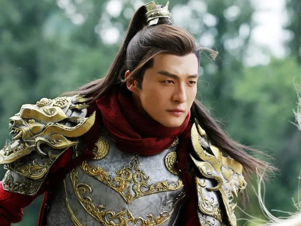 孙艺洲演的电视剧