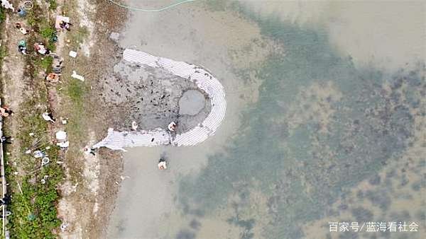 嘉兴现不明坠物鱼塘的水已抽干仍在打捞勘探队已进场，你怎么看？
