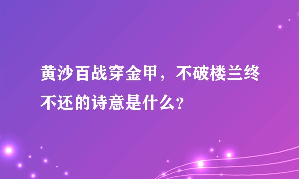 黄沙百战穿金甲，不破楼兰终不还的诗意是什么？