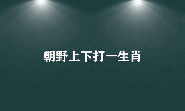 朝野上下打一生肖