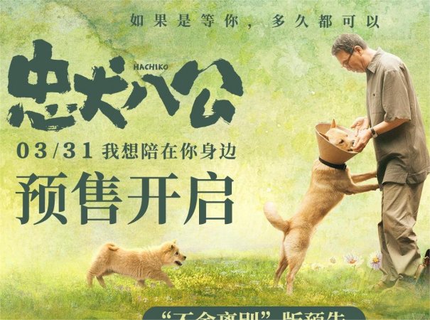 忠犬八公冯小刚剧情介绍