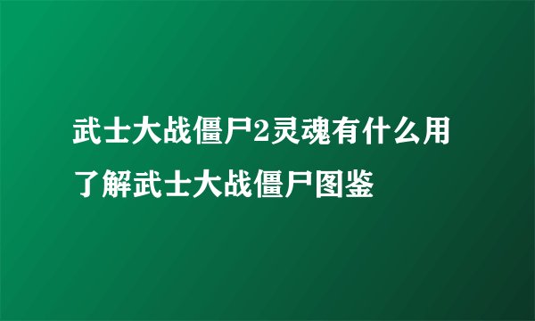 武士大战僵尸2灵魂有什么用了解武士大战僵尸图鉴