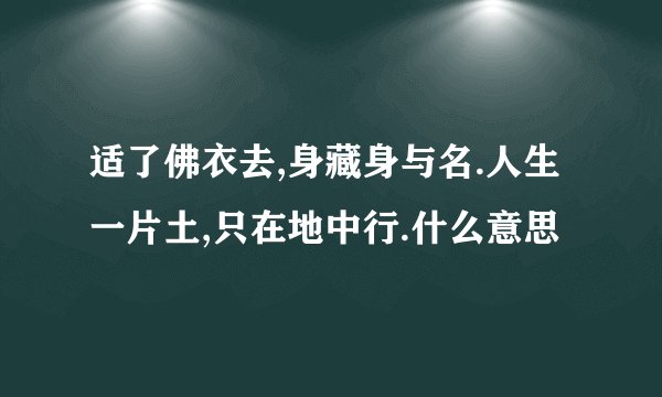 适了佛衣去,身藏身与名.人生一片土,只在地中行.什么意思