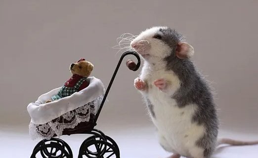 望风而溃打一个动物