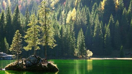 有一首歌歌词是，（走啊走啊，走向大自然）这歌歌名叫什么啊