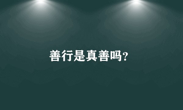 善行是真善吗？