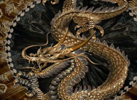 金龙的爪子有多少个爪子？