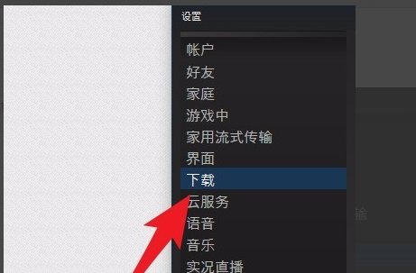 STEAM中出现failed to initialize请问这是什么问题导致的?