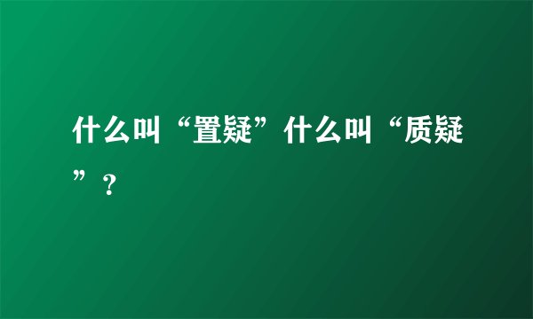 什么叫“置疑”什么叫“质疑”？