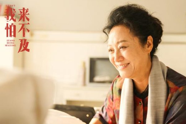 王丽云演过的电视剧