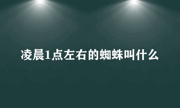凌晨1点左右的蜘蛛叫什么