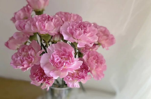 母情节是哪一天