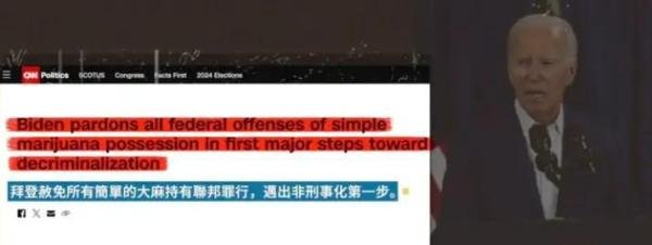 “哈哈姐”哈里斯