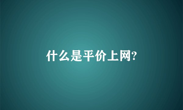 什么是平价上网?