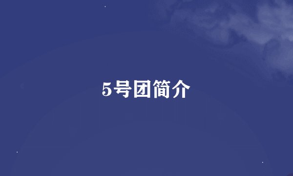 5号团简介