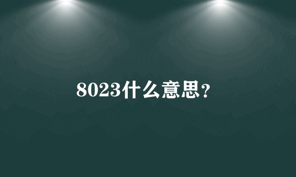 8023什么意思？
