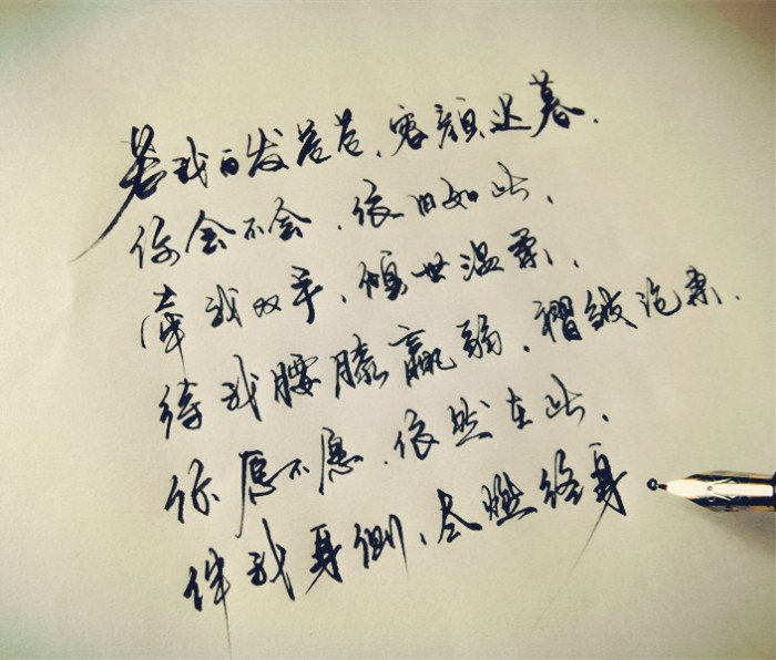 “若我白发苍苍，容颜迟暮”的下句是什么？