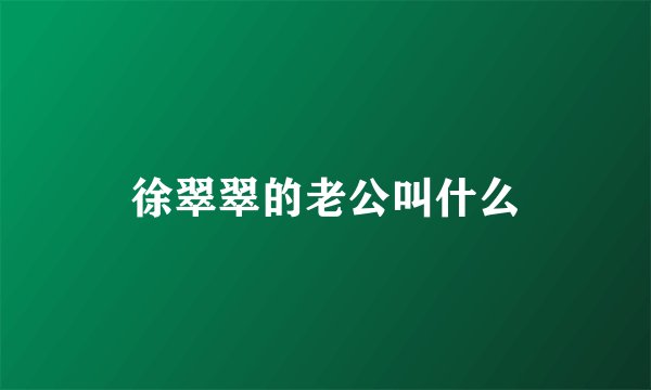 徐翠翠的老公叫什么