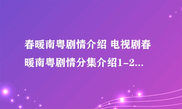 春暖南粤剧情介绍 电视剧春暖南粤剧情分集介绍1-20集全集大结局简介梗概