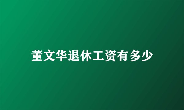 董文华退休工资有多少