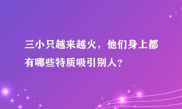 三小只越来越火，他们身上都有哪些特质吸引别人？