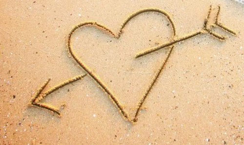 想问一下爱情可以分割吗?