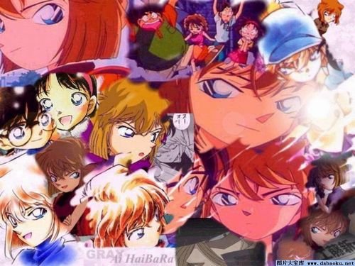 柯南之白枫的介绍